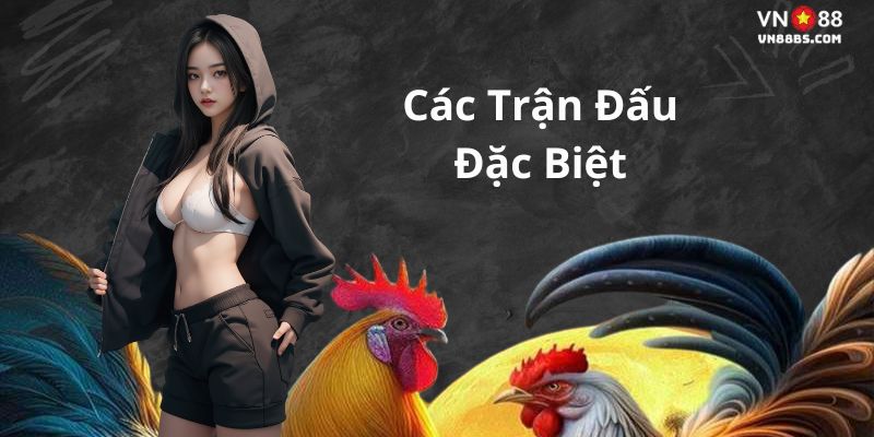 Các trận đá gà malaysia tại VN88