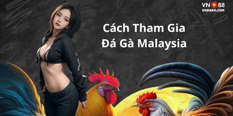 Cách tham gia đá gà malaysia 