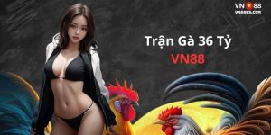 Trận gà 36 tỷ VN88